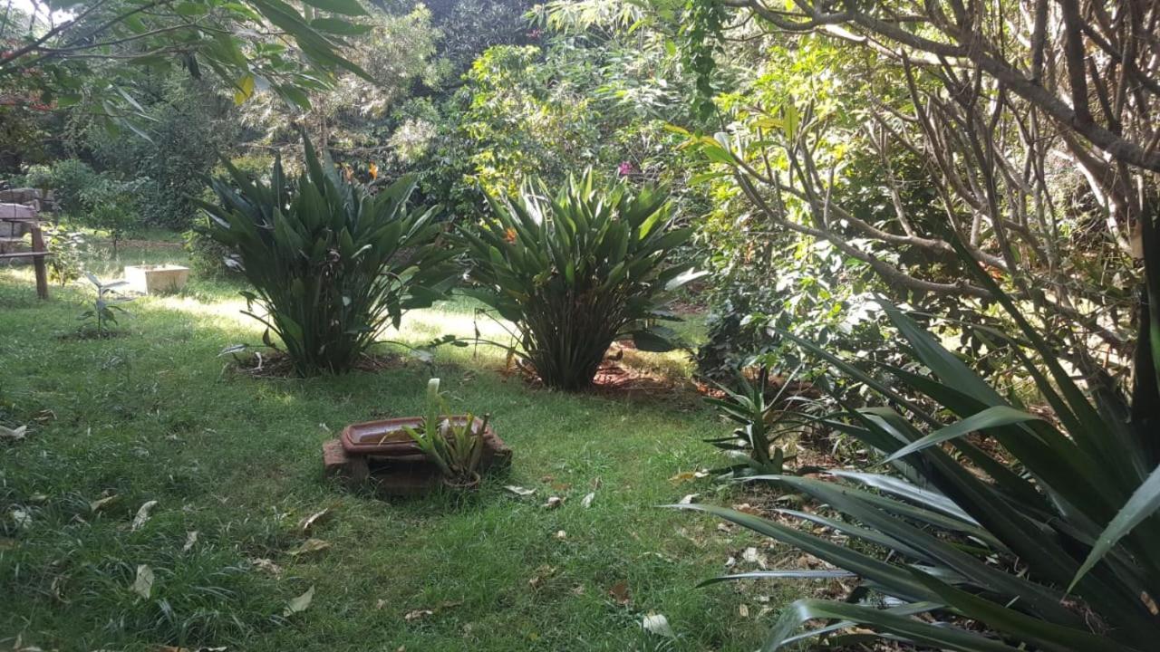 The Cottage-Place Of Grace 2Bdrm And Loft Bed All 4U At Usd58 Nairobi Exteriör bild