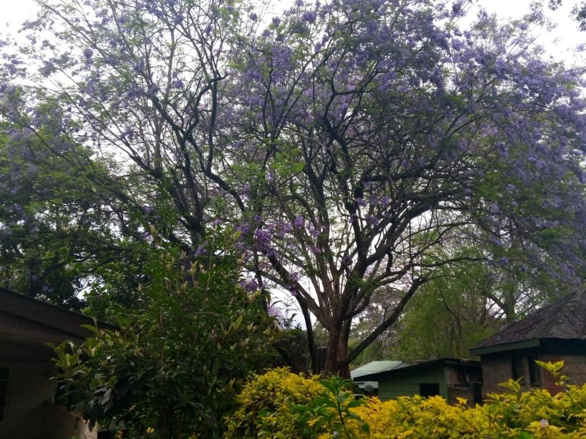 The Cottage-Place Of Grace 2Bdrm And Loft Bed All 4U At Usd58 Nairobi Exteriör bild