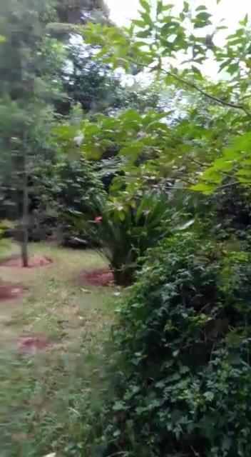 The Cottage-Place Of Grace 2Bdrm And Loft Bed All 4U At Usd58 Nairobi Exteriör bild