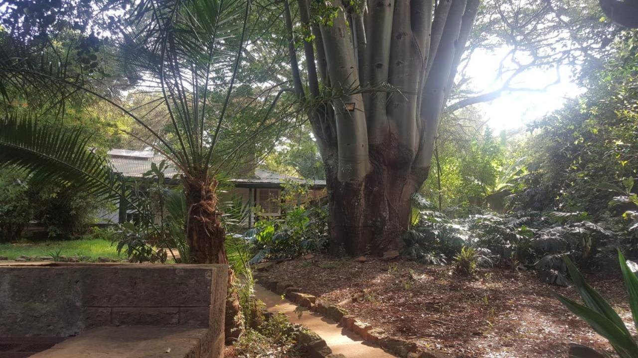 The Cottage-Place Of Grace 2Bdrm And Loft Bed All 4U At Usd58 Nairobi Exteriör bild