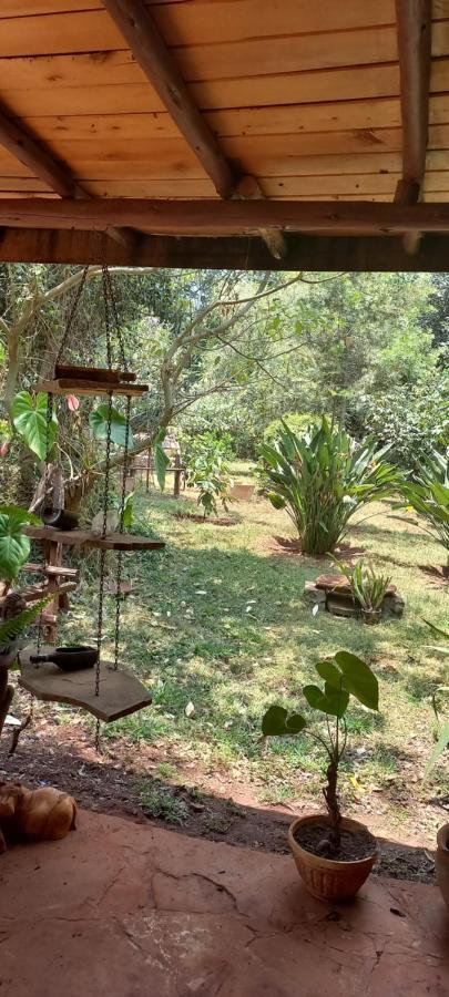 The Cottage-Place Of Grace 2Bdrm And Loft Bed All 4U At Usd58 Nairobi Exteriör bild
